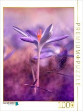 CALVENDO Puzzle Krokusse 1000 Teile Lege-Gr e 64x48cm Foto-Puzzle f r gl ckli