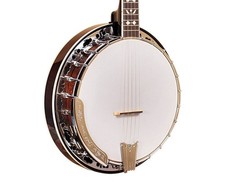 Gold Tone BG-150F Intermediate Bluegrass Banjo - Open Box