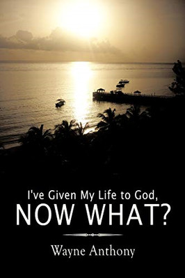 Ich habe mein Leben Gott gegeben, was nun? - Taschenbuch / Softback NEU Anthony, Wayne 0