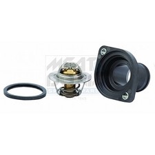 Thermostat Citroen EVASION