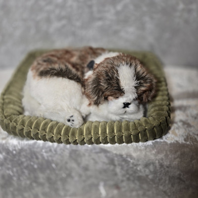 PERFECT PETZZZ Dog SHIH TZU W/Bed 