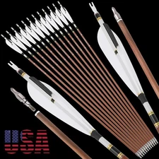 12X 31" Pure Carbon Arrows Archery SP340-600 Compound Recurve Bow Tips Hunting