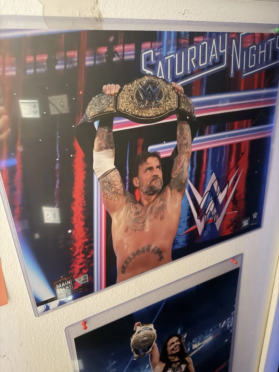 CM Punk WWE Wrestling Original Autographed Photos for sale | eBay