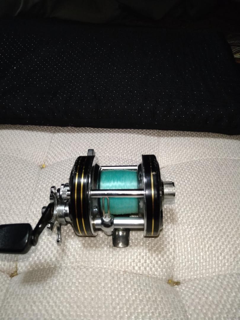 Daiwa Millionaire 5000 | eBay