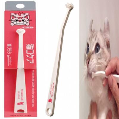 cat toothbrush