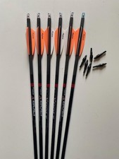 CROSSBOW BOLTS  Lighted Victory Archery 20"