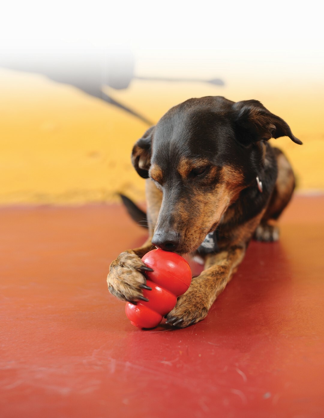 KONG Classic Hundespielzeug robust befüllbar Kauspielzeug XS XXL eBay