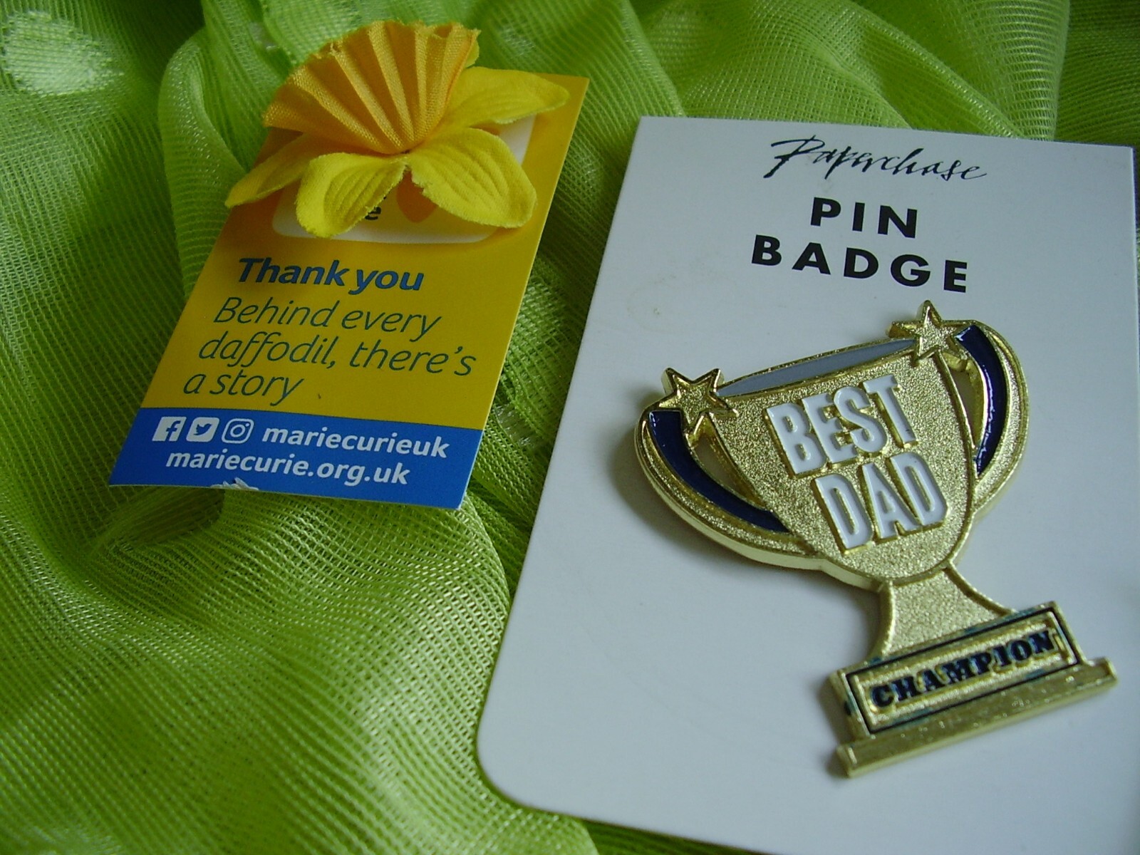 ASSORTED LOT 9 PIN BADGES NOVELTY CHARITY eBay