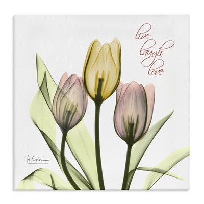 Live Laugh Love Phrase Yellow Pink Tulip Florals, Design by Albert Koetsier C...