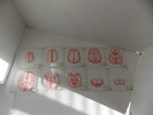 Bild 6 von 6
