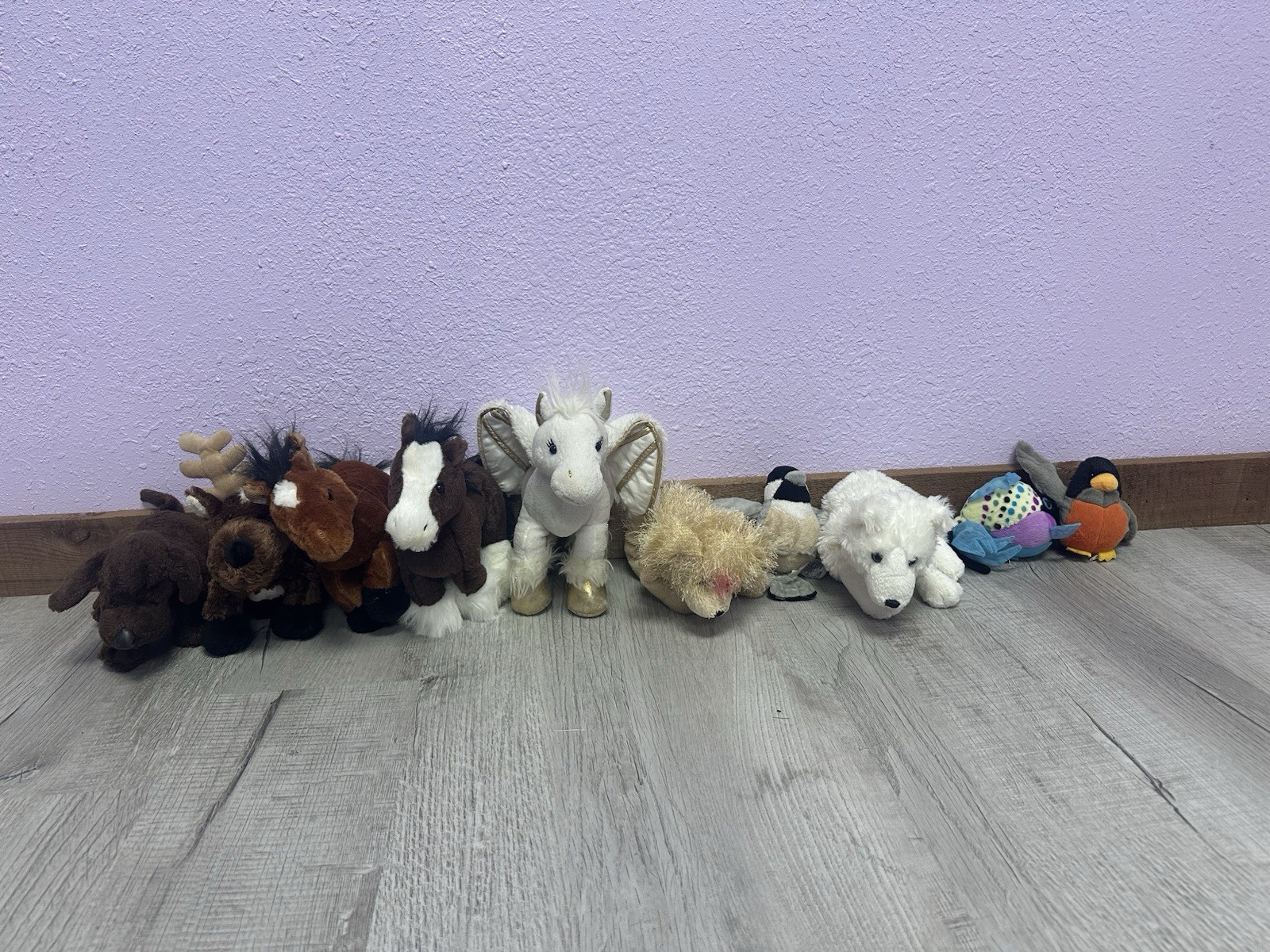 Bild 9 von 13