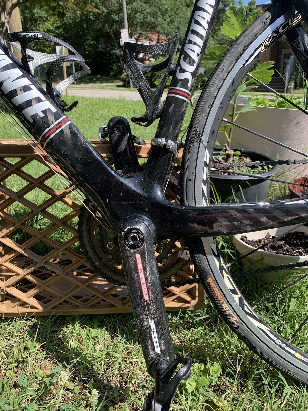 Scattante Elite Carbon Fiber Road Bike, 55cm