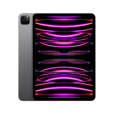 Apple iPad Pro 11'' (2022) WiFi+Cellular 256GB Space Grau...MwSt nicht ausweisbar