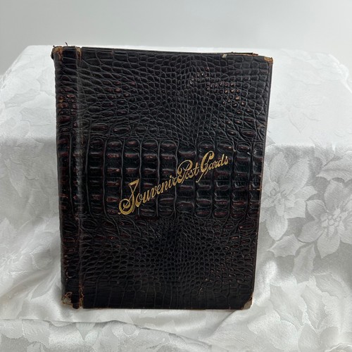 Antique Souvenir Postcard Album Brown Faux Alligator Fair Vintage Ephemera Book