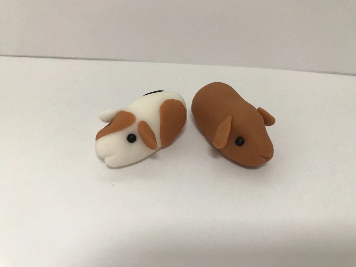 Guinea pig accessories hot sale ebay