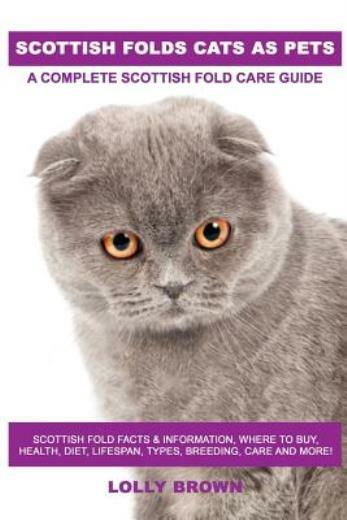 Scottish Folds Cats As Pets A Complete Scottish Fold Care Guide