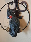 Hanging Black Palm Cockatoo  Perching On Branch With Metal Ring 4.5" H