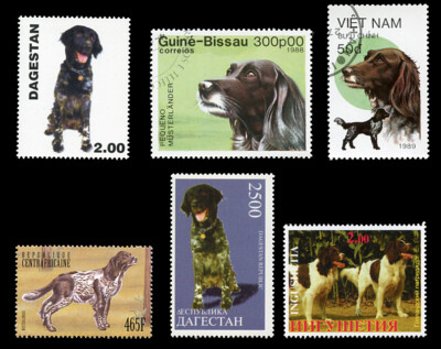 MÜNSTERLANDER GROSSE INTERNATIONALE HUNDEBRIEFMARKEN x 6 verschiedene