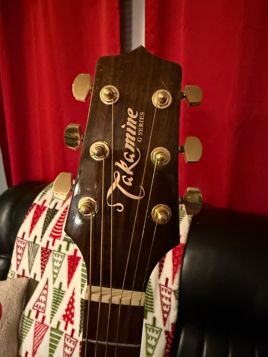 Takamine G Series EG340C Acoustic-Electric guitar with gator case