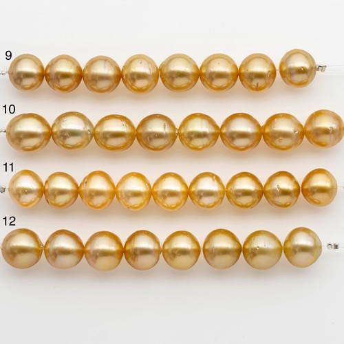 12-13mm Golden South Sea Pearls, Natural Gold or Champagne Color, For Jewelry M - Picture 3 of 9