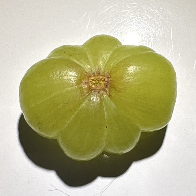 Unusual shaped real grape