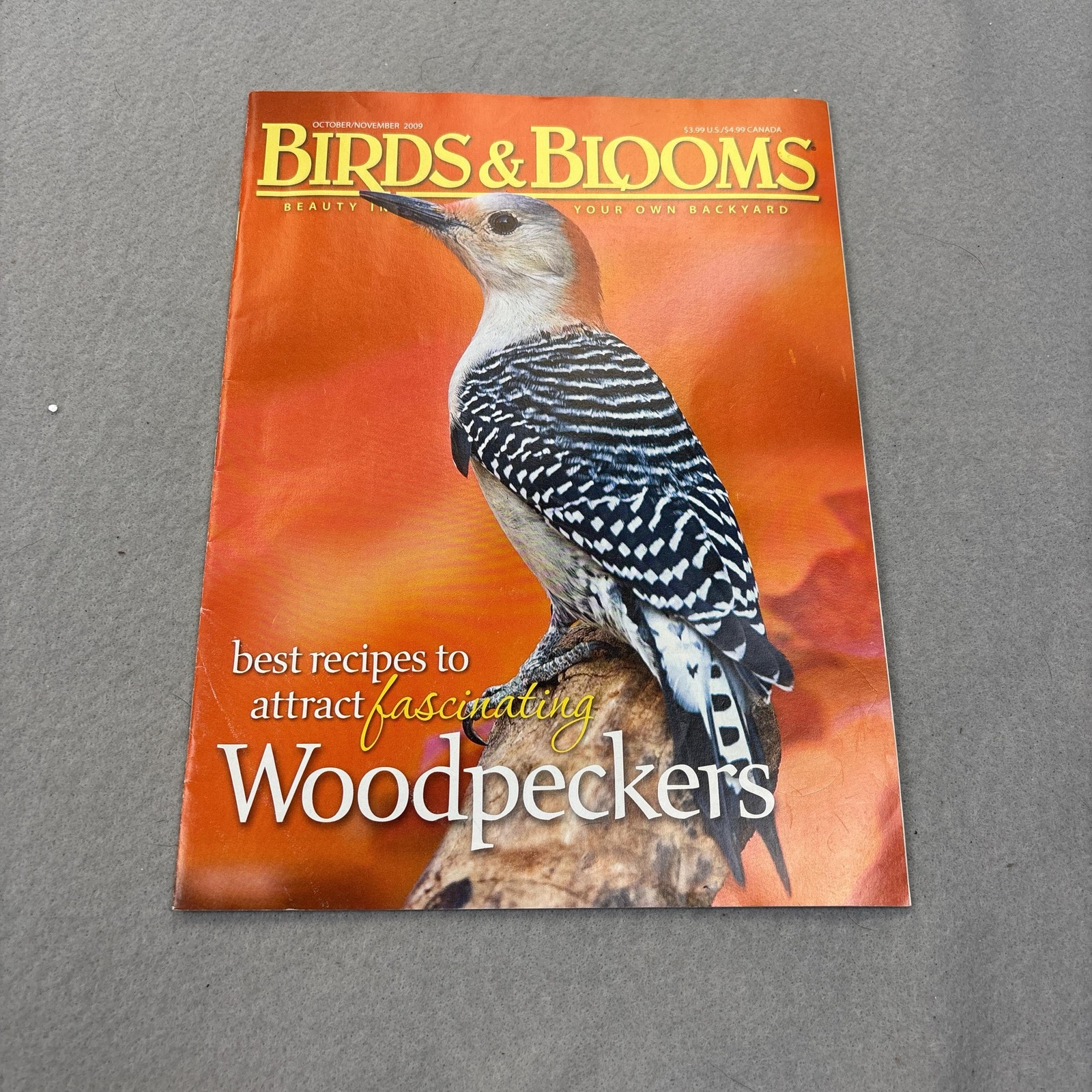 Birds & Blooms Oct/Nov 2009 Magazine Illustrated Woodpeckers Orange Cover USA