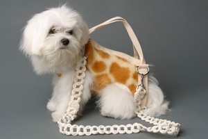 puppy purse
