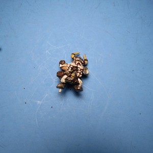 GW Warhammer The Old World Dwarf Rune Priest Thorek Ironbrow Body Bit metal d02