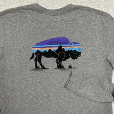 Patagonia T Shirt Mens Size Medium Gray Long Sleeve Bison Fitz Roy Logo 2 Side