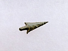 OREGON--RABBIT ISLAND DART-- GEM POINT--JACKSON -G-9+ GRADE--X RAY FRANKS