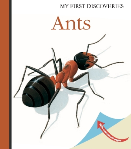 René Mettler Ants (Copertina rigida) My First Discoveries