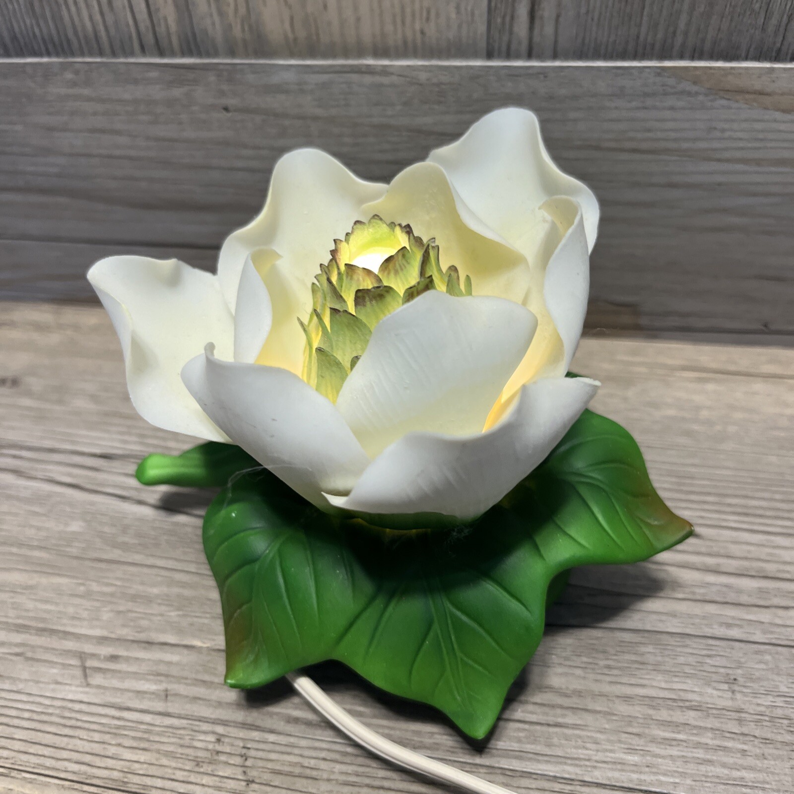 BLOOMING WHITE MAGNOLIA FLOWER Accent / Night Light Lighted Table Lamp eBay