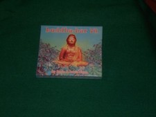 Ravin & David Visan – Buddha-Bar VII CD