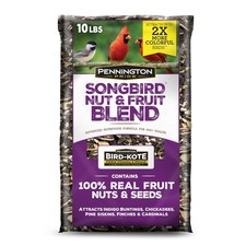 Pennington Pride Songbird Nut  Fruit Blend, Wild Bird Seed 10 lb, natural