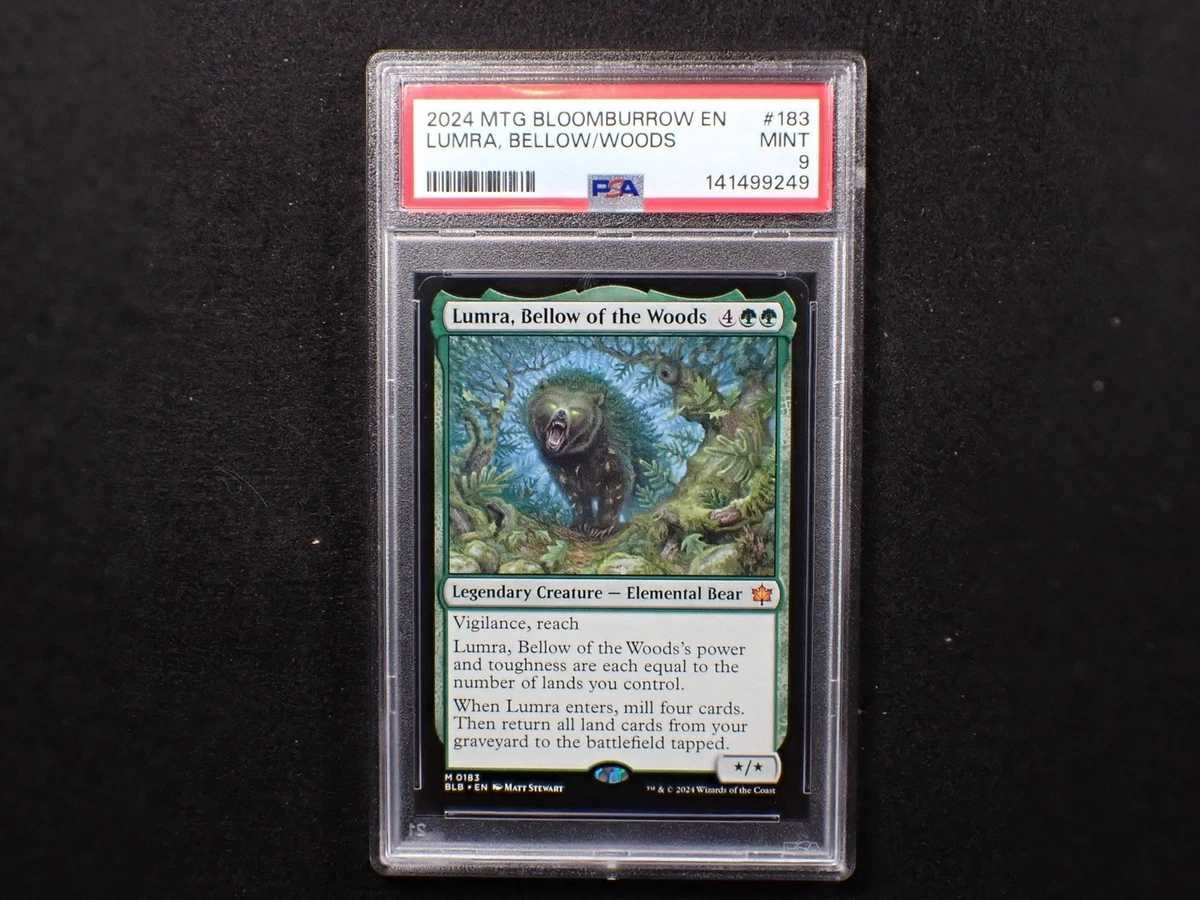極楽鳥 アンミリテッドunlimited版 MTG PSA鑑定9 foil】極楽鳥 / Birds