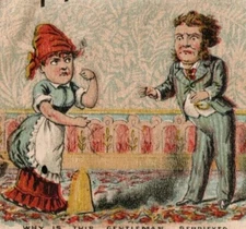 See Thru Victorian Trade Card Bissel Carpet Sweeper