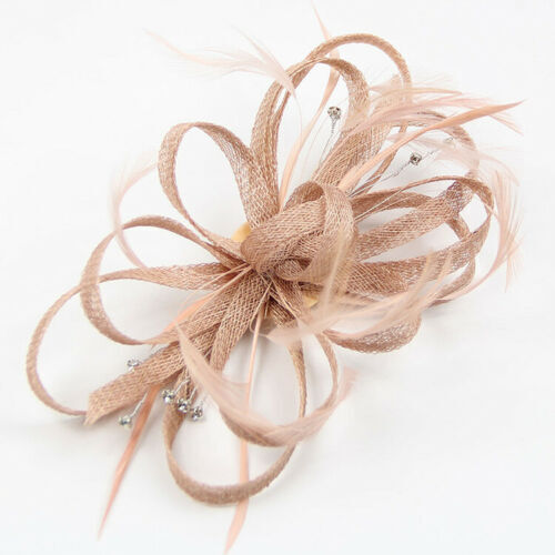 Piuma Capelli Fascinator Alice Fascia Clip Donna Matrimonio Reale Ascot