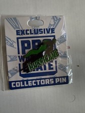 NEW The Hurricane Shane Gregory Helms Pin Pro Wrestling Crate WWE TNA WCW Impact