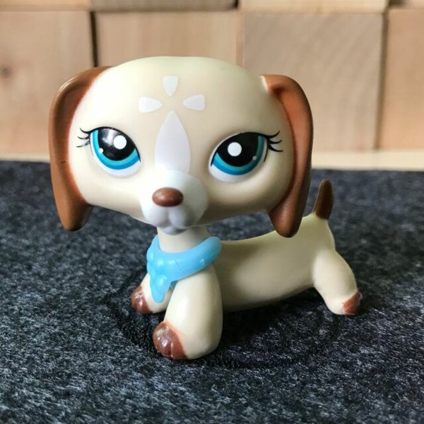 Littlest Pet Shop Dog Brown White Flower Dachshund LPS Puppy 1491 Blue