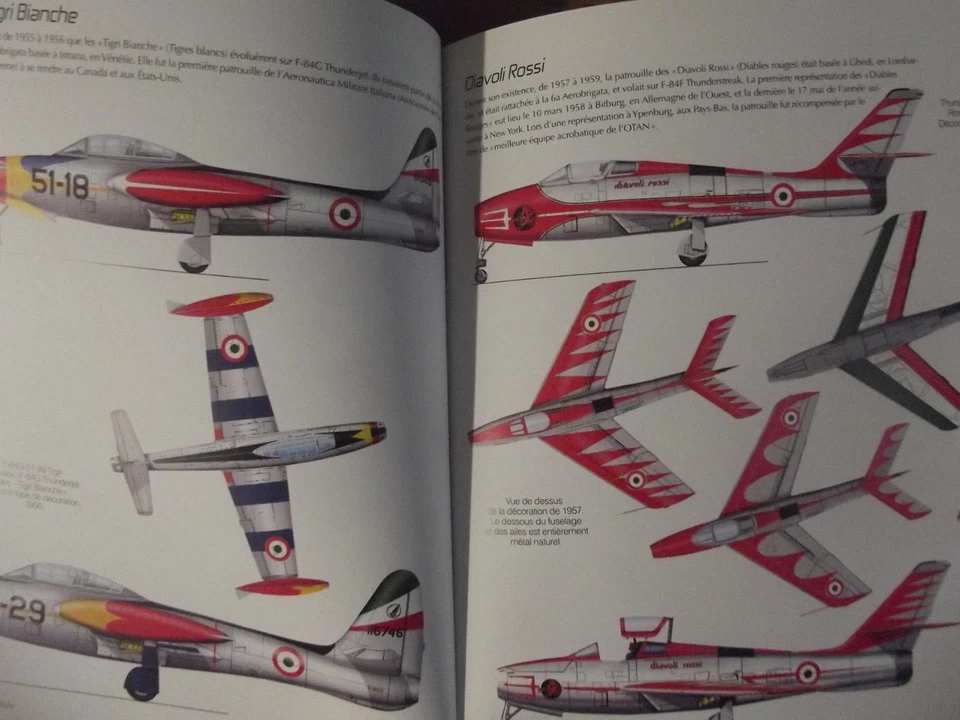 Les Patrouilles Acrobatiques-(Le pattuglie acrobatiche) ediz.Francese - Immagine 4 di 4