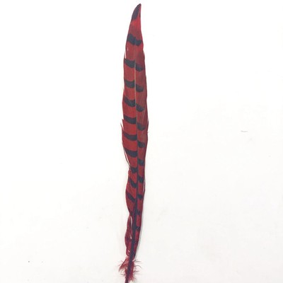 30'' to 32'' Reeves Pheasant Tail Feather - Red
