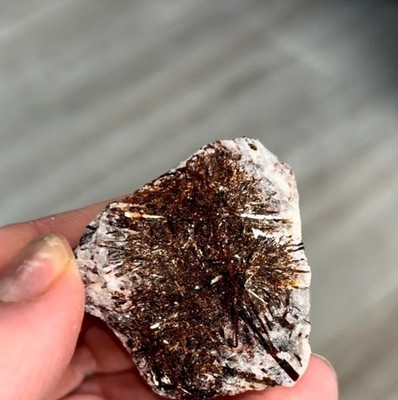 Astrophyllite with Lustrous Reddish-Bronze Crystals