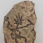 Bild 3 von 5