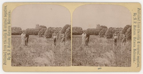 NEBRASKA SV - Octavia Farm Scenery - AP Hudson 1890s RARE!