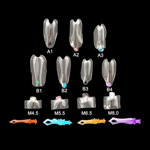 Dental Clear Matrix Tranparent Matrices Posterior Anterior Teeth Fit BioClear BT - Picture 9 of 11