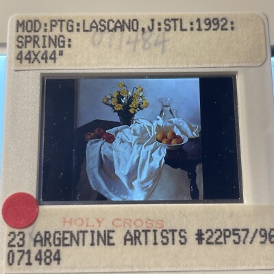 Juan Lascano  Spring  Argentina Modern Art 35mm Slide