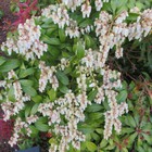 Bild 7 von 7