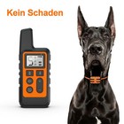 Bild 10 von 16