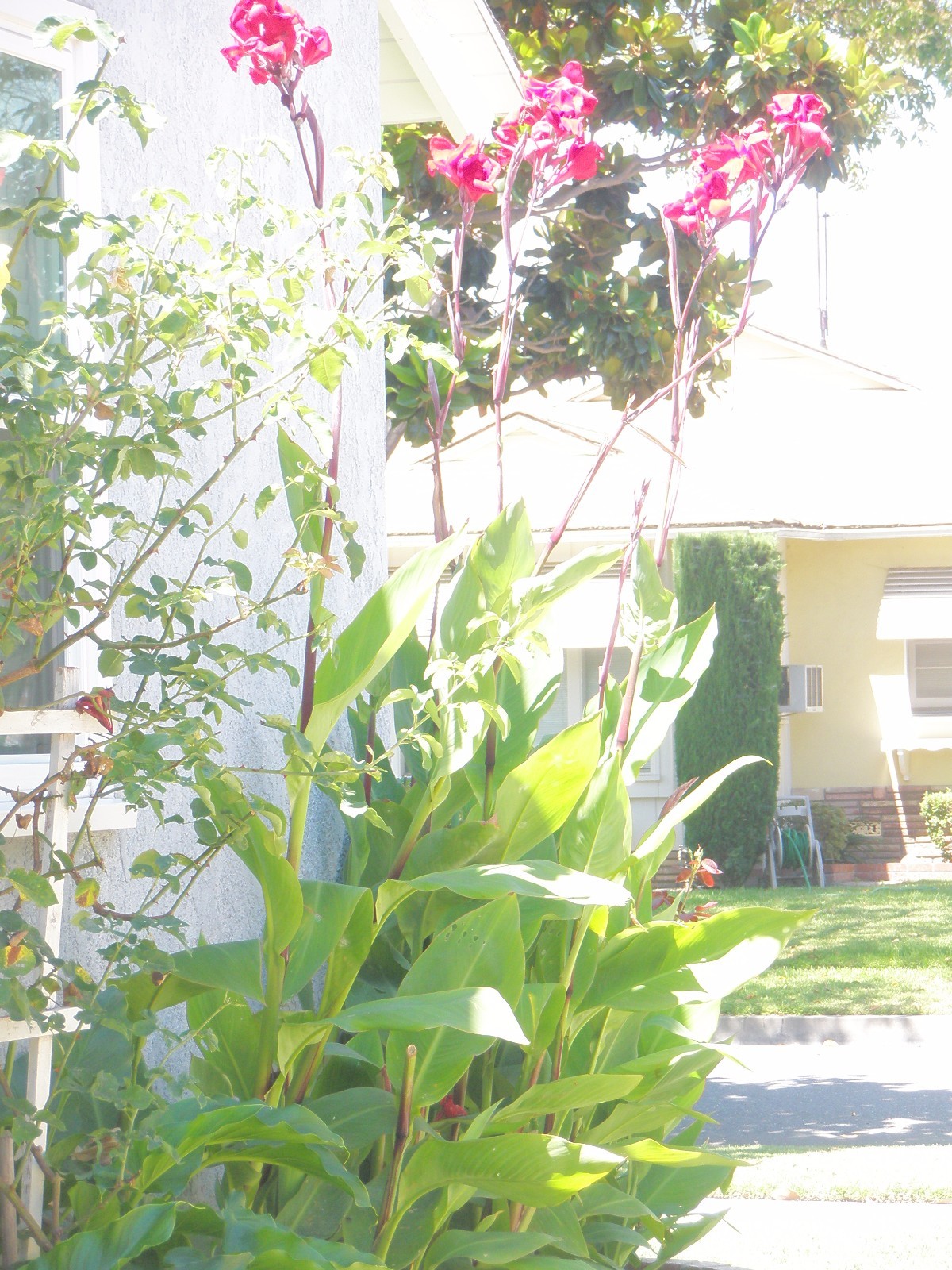 Picture 2 of 3