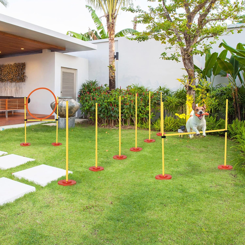 Set Agility Dog Con Paletti Ed Anello Regolabile per Addestramento Cani - Foto 2 di 12